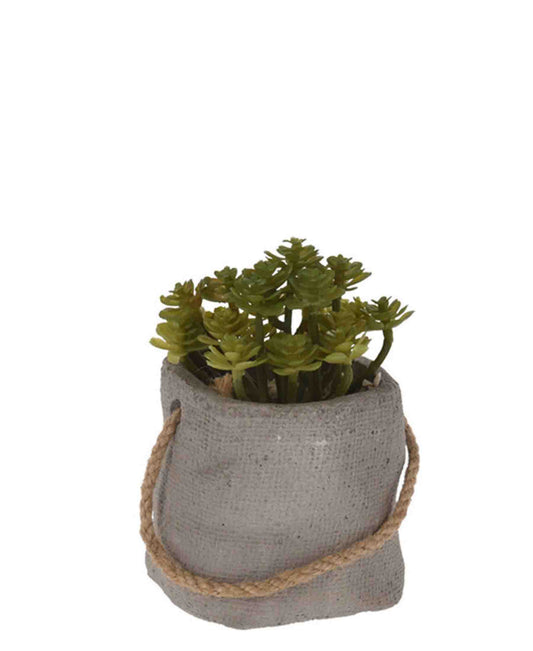 Urban Decor Bonsai 13cm Plant In Pot Bag - Grey