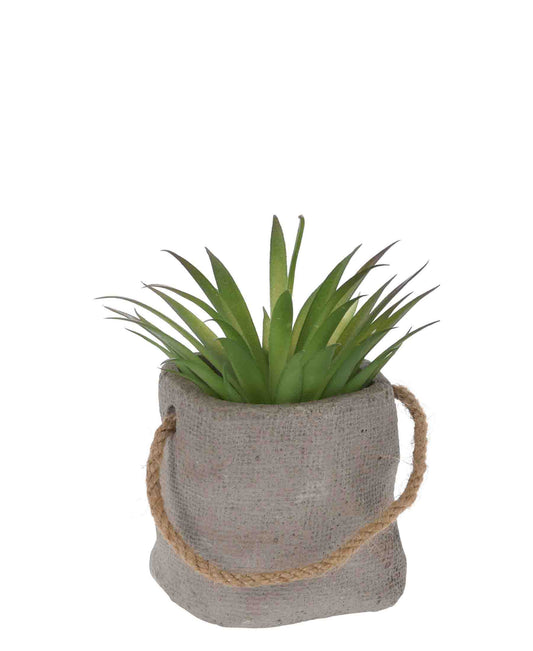 Urban Decor 13cm Plant In Pot Bag - Grey