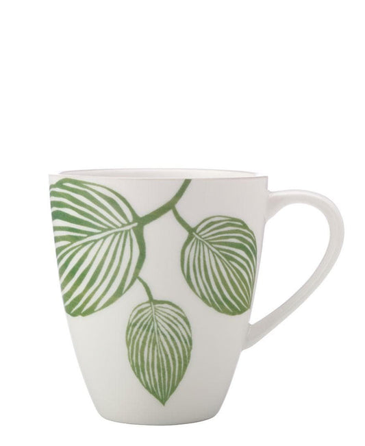 Maxwell & Williams Panama 350ml Coupe Mug - White & Green