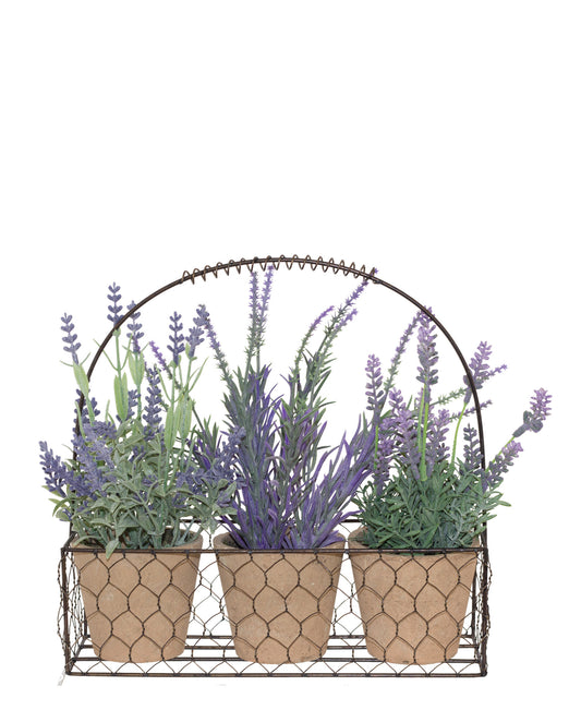 Lavender In Pot 24 x 24 With Metal Basket - Purple