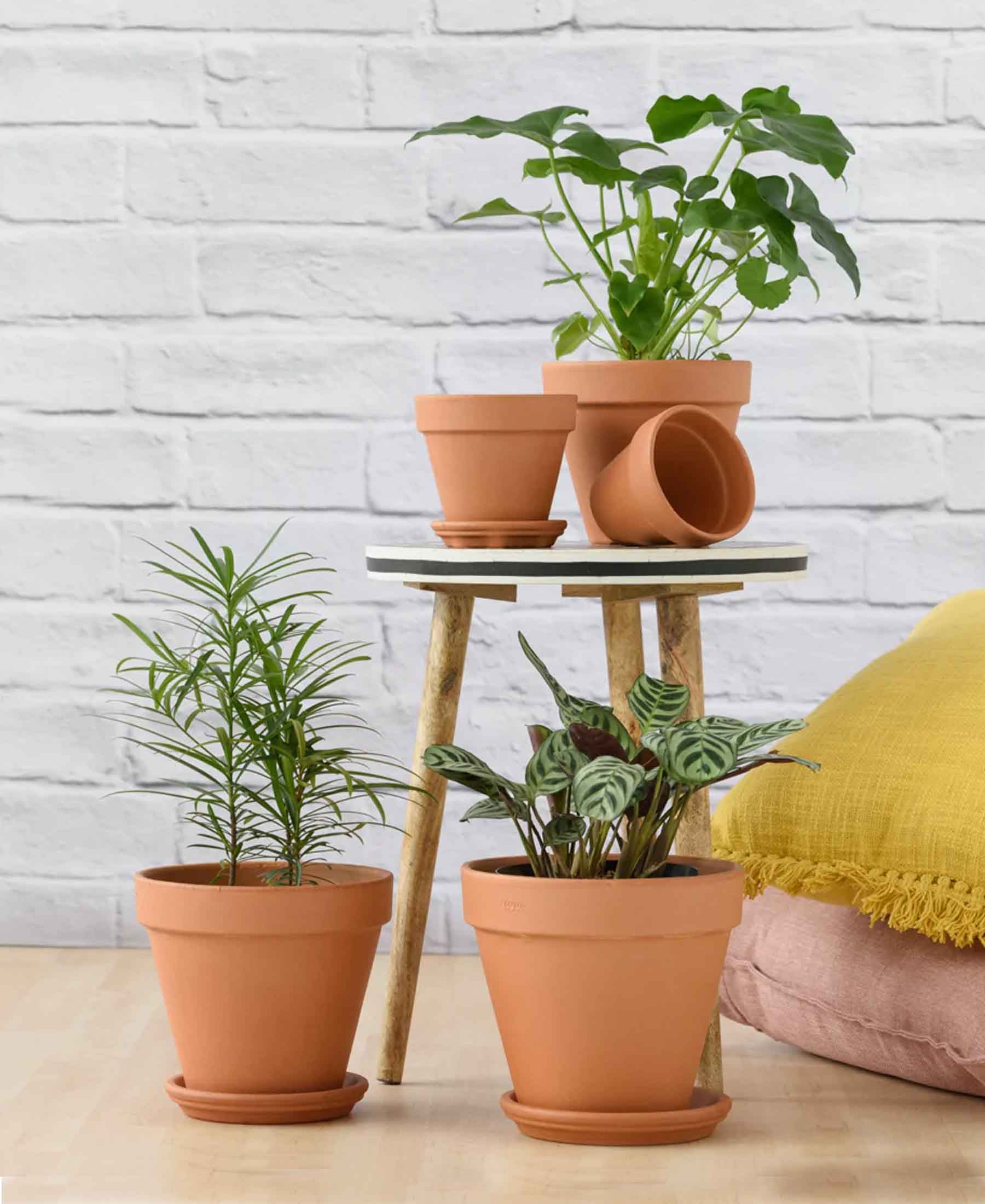 35cm terracotta plant pot Urban Decor 35CM Flower Pot
