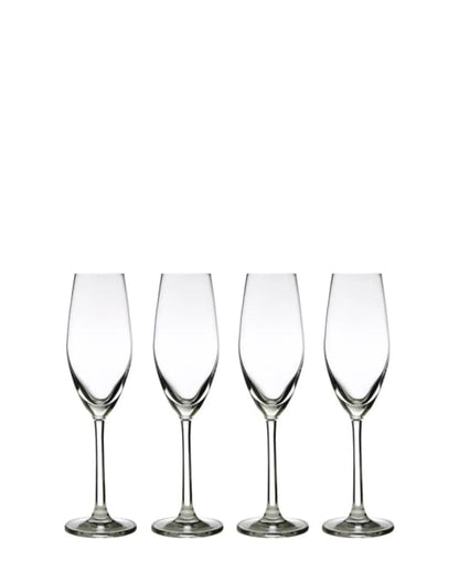 Maxwell & Williams Casa Domani Chiara 4 Piece Flute Glass - Clear