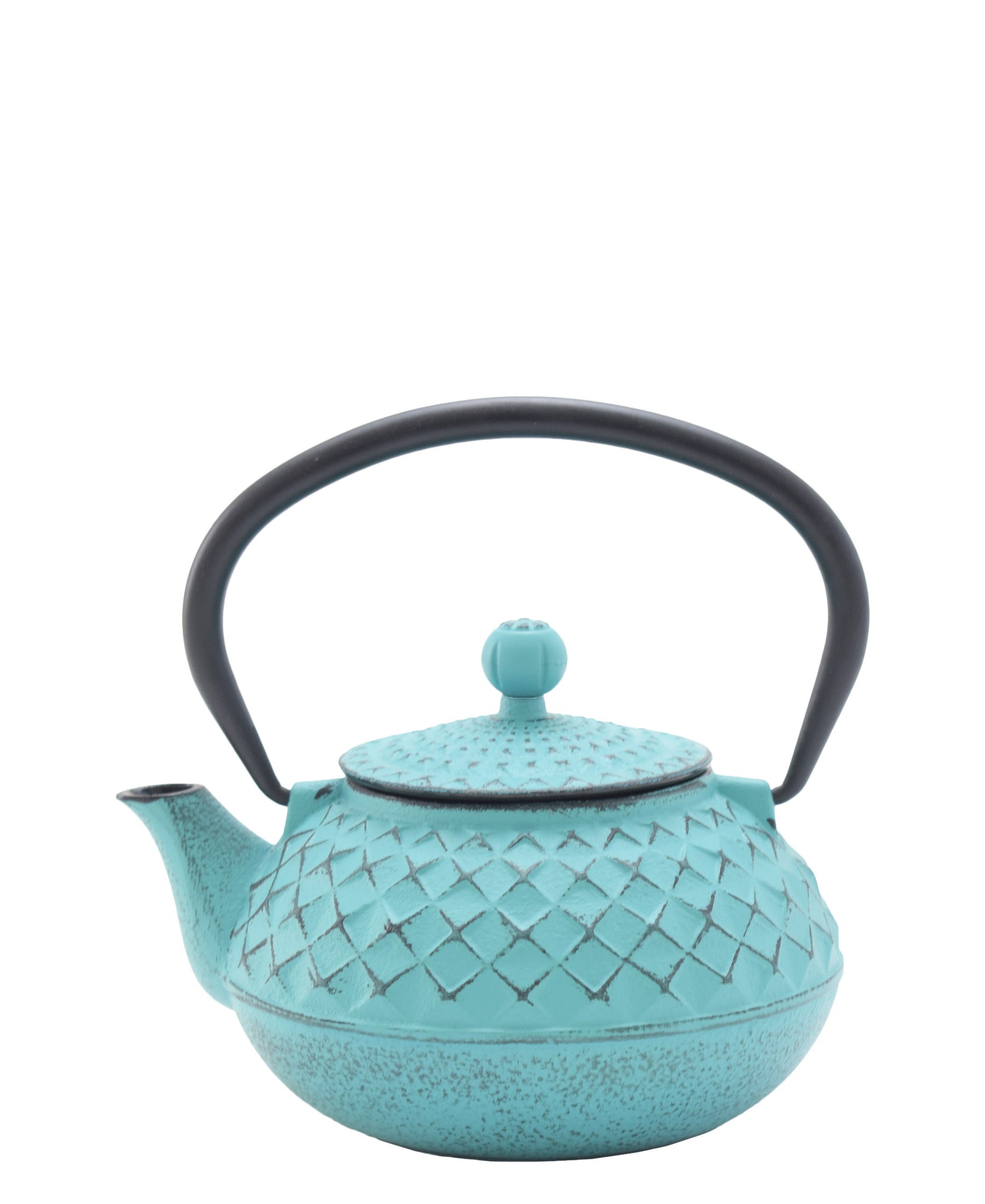 Kitchen Life Qian Cast Iron Tea Pot 900ml - Blue