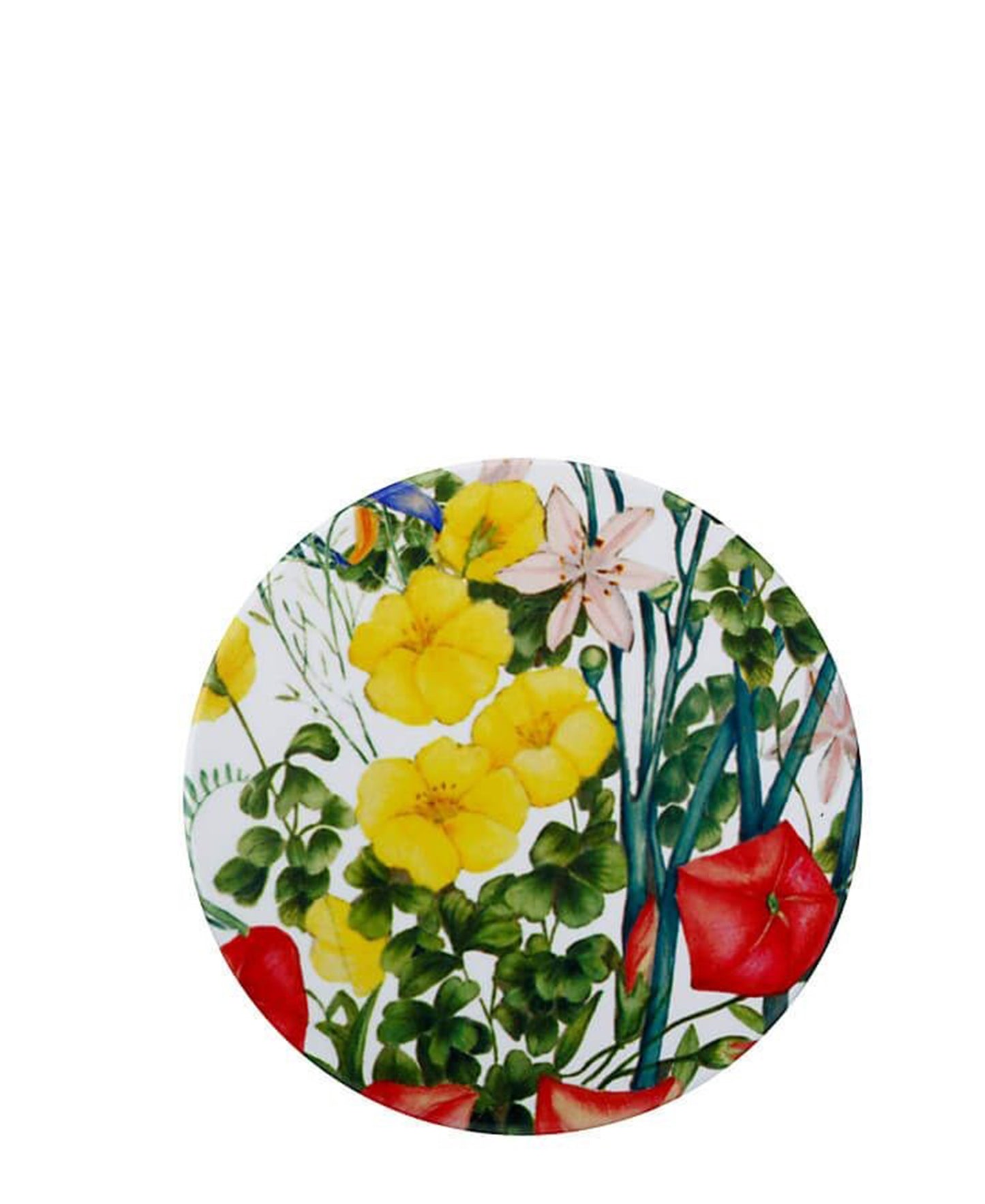 Maxwell & Williams Botanic 9,5cm Round Coasters - White & Yellow