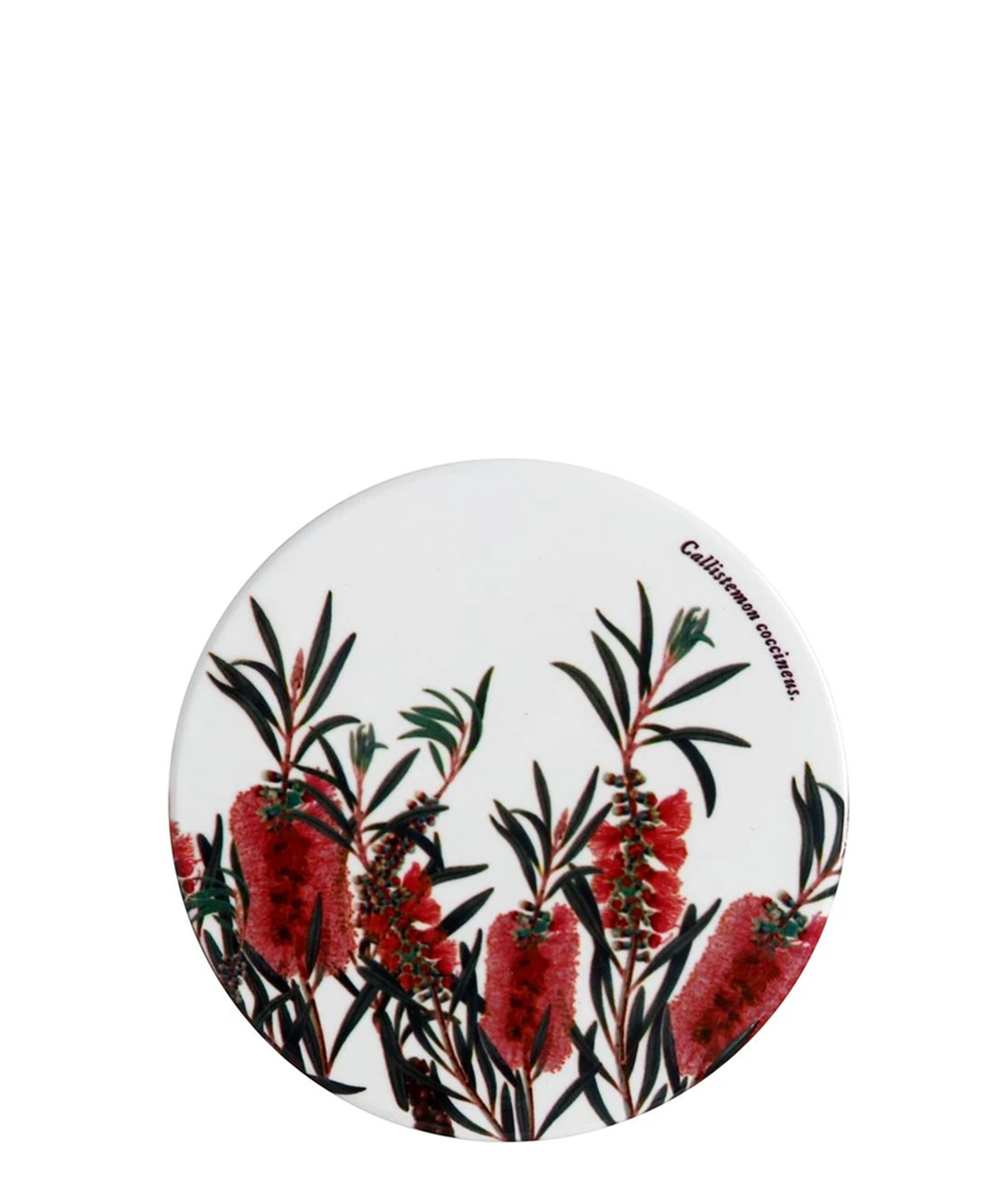 Maxwell & Williams Botanic 9,5cm Round Coasters - White, Red & Black