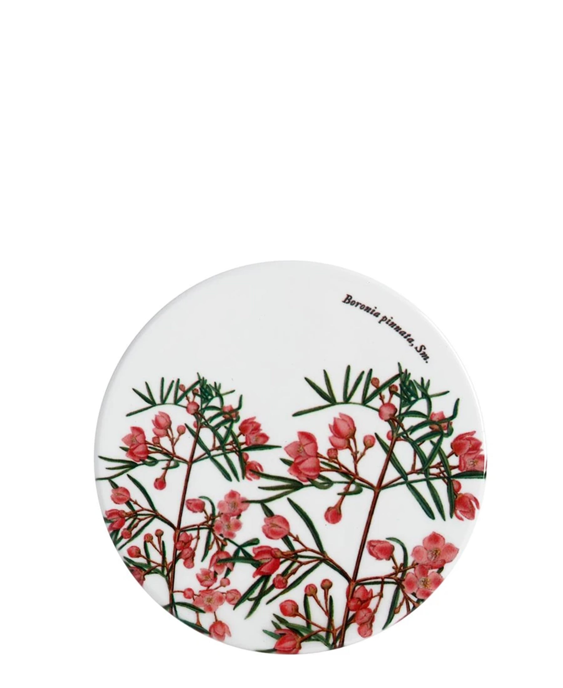 Maxwell & Williams Botanic 9,5cm Round Coasters - White With Red Floral Print