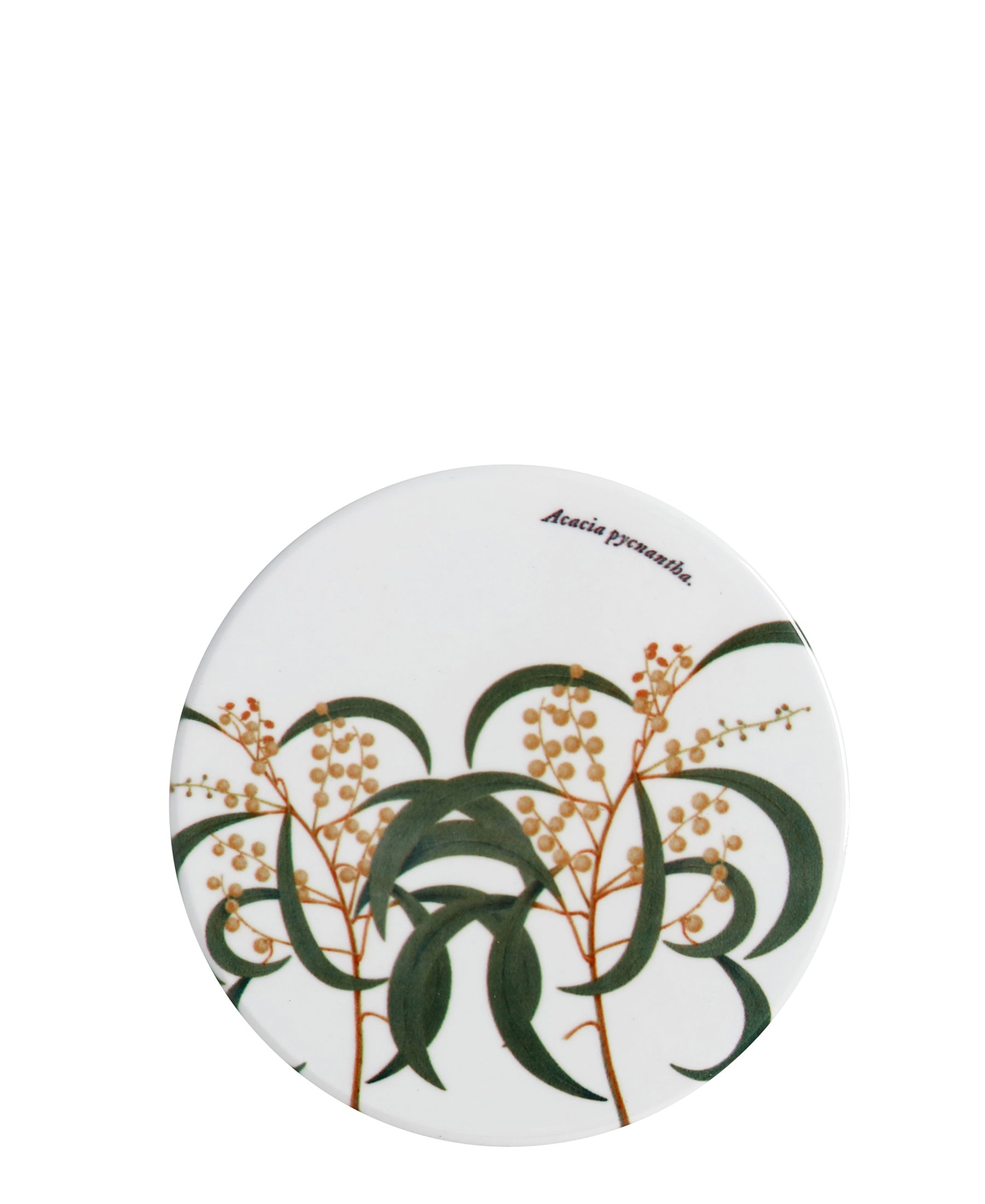 Maxwell & Williams Botanic 9,5cm Round Coaster - White With Green Floral Print