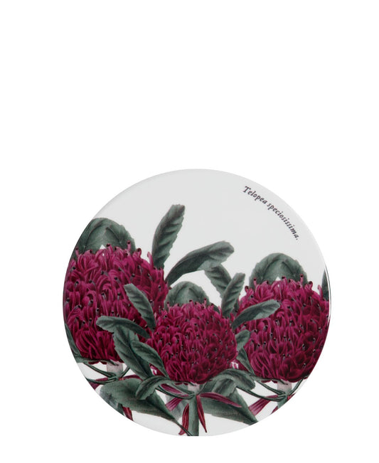 Maxwell & Williams Botanic 9,5cm Round Coaster - White & Purple