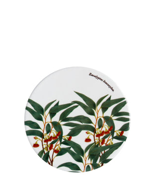 Maxwell & Williams Botanic 9,5cm Round Coasters - White & Green