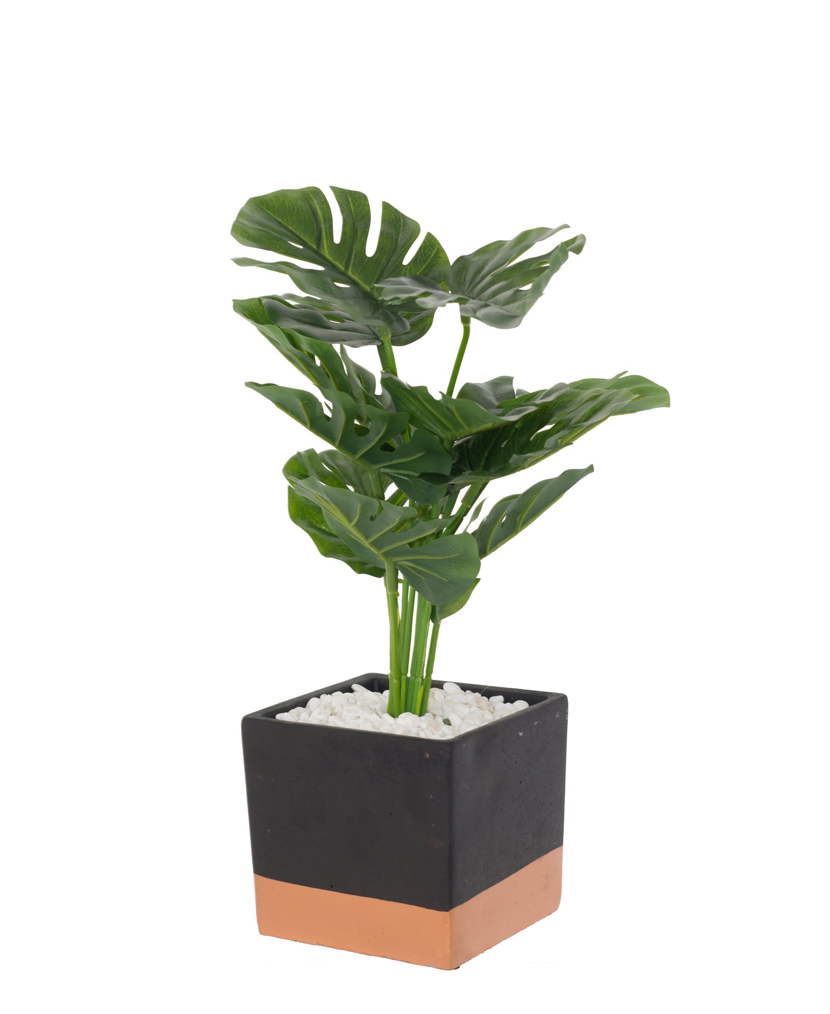 Urban Decor Delicious Square Pot Plant 37cm - Green & Black