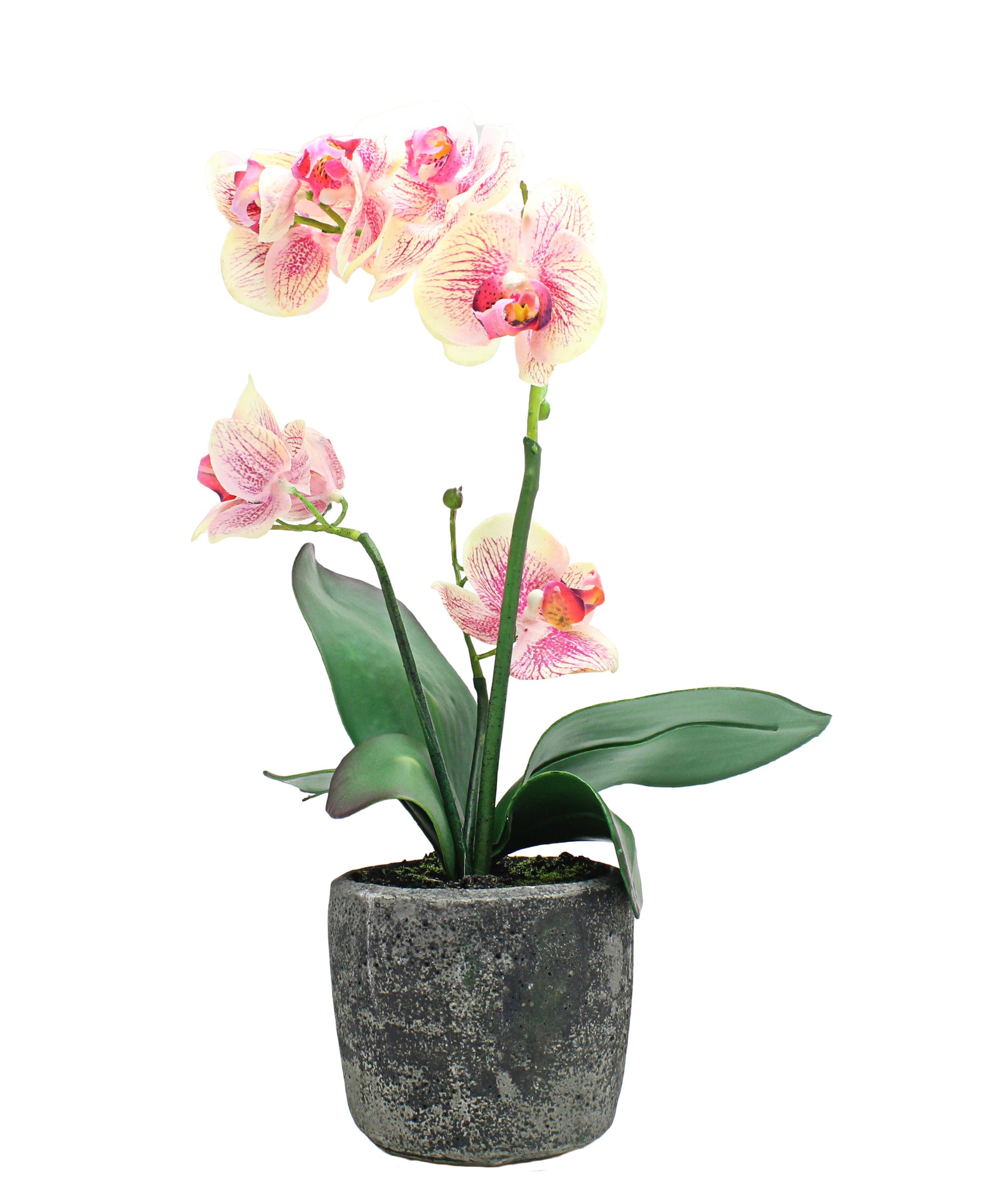 Urban Decor Orchid In Pot 35cm - Pink
