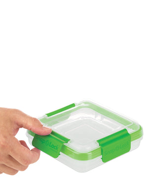 Progressive Snap lock Sandwich To Go Container - Green