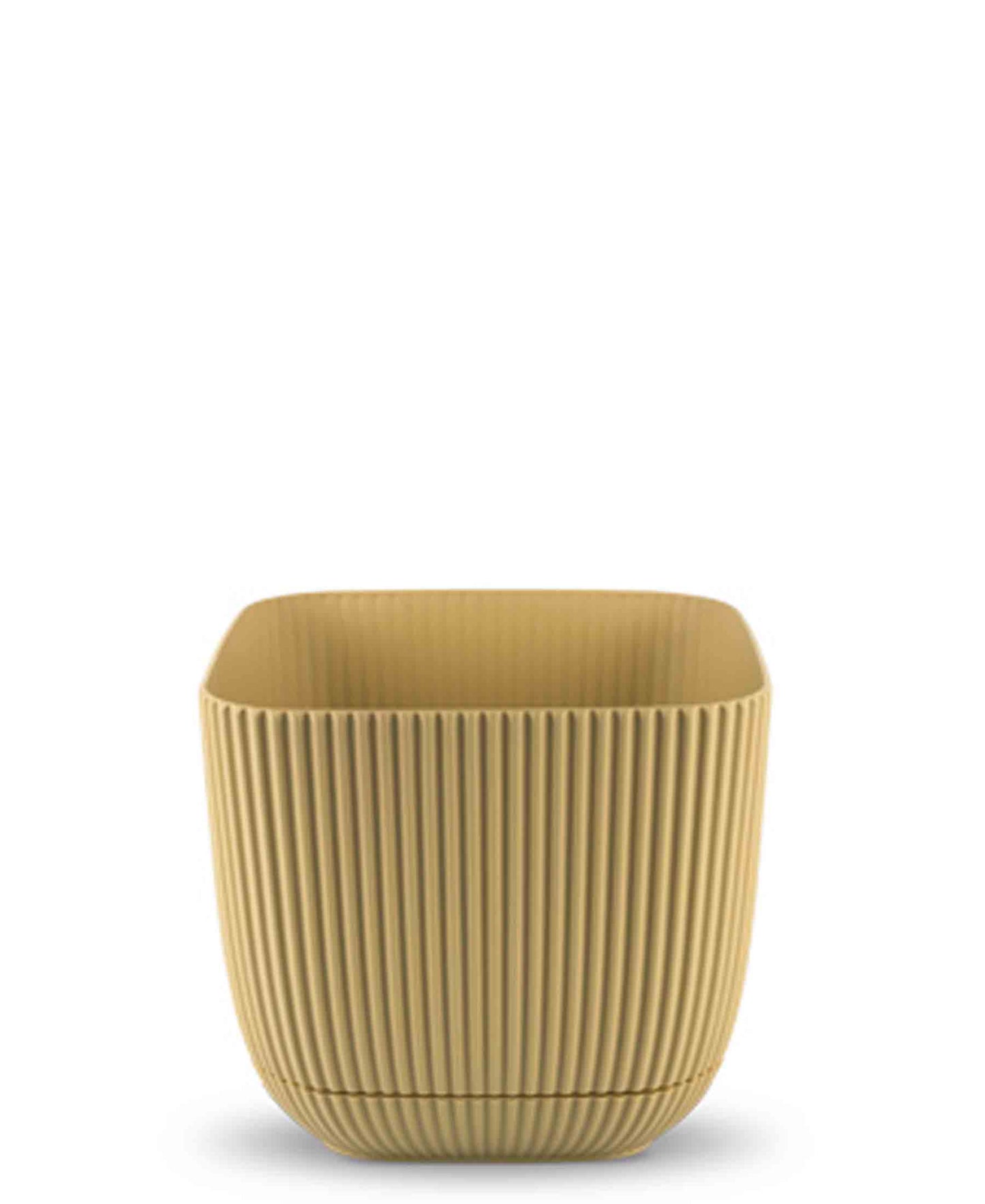 Urban Decor Square Coral Pot Plant 4Lt  - Gold