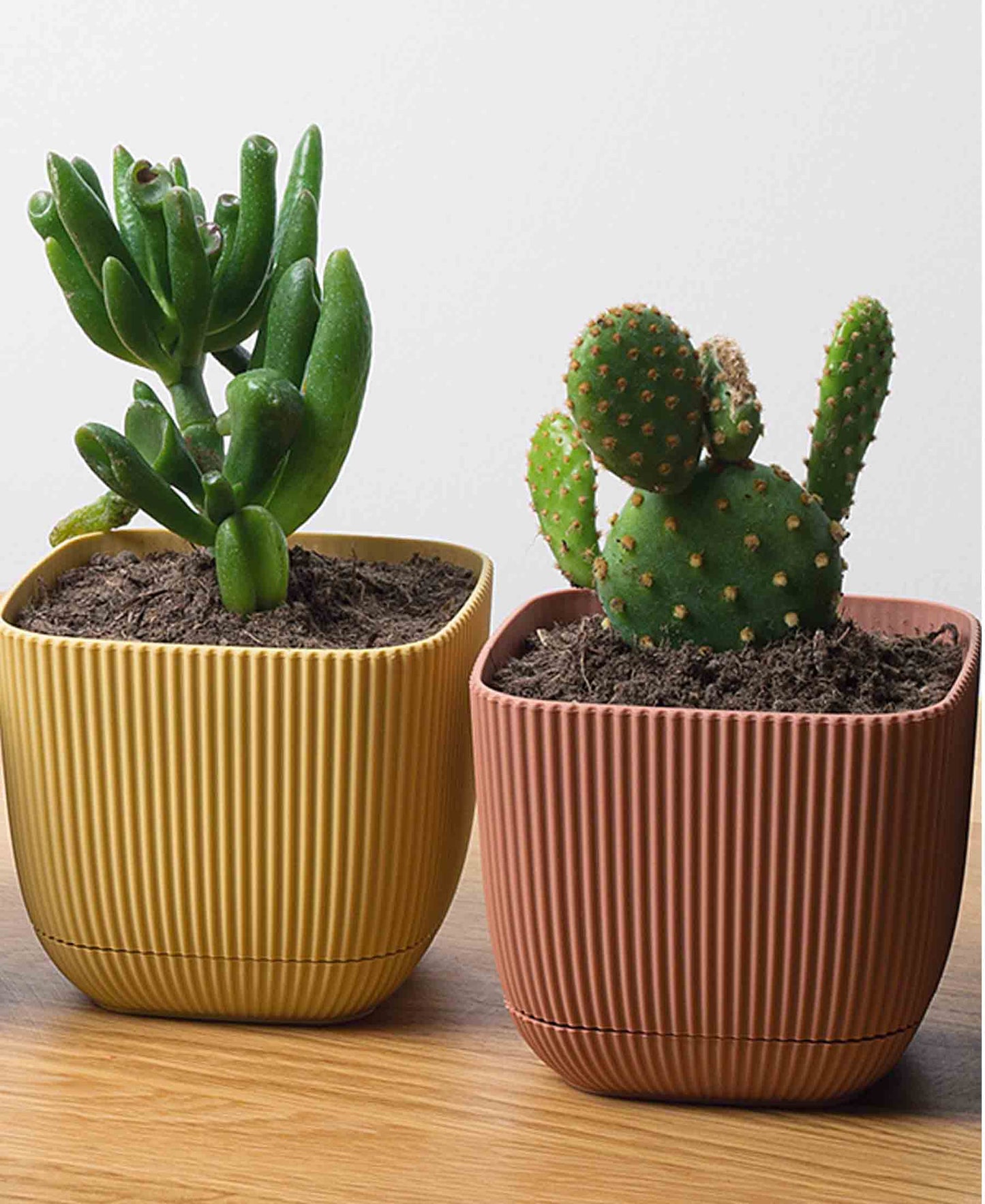 Urban Decor Square Coral Pot Plant  0.27Lt  - Pink