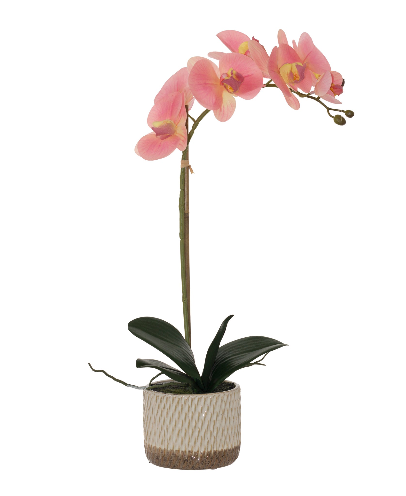 Urban Decor 48cm Two Tone Orchid - Pink