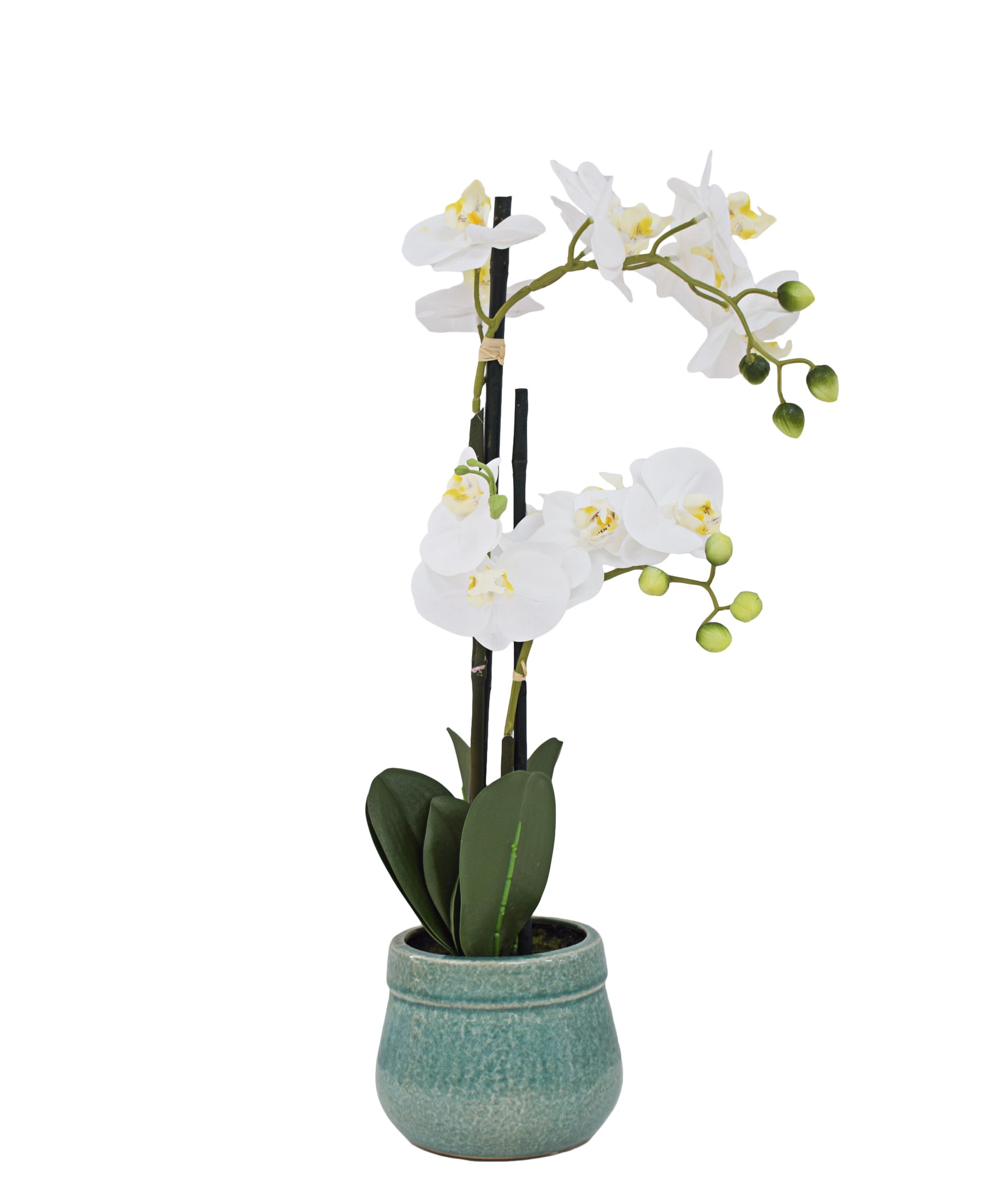 Urban Decor Orchid Pot Plant 55CM - Green